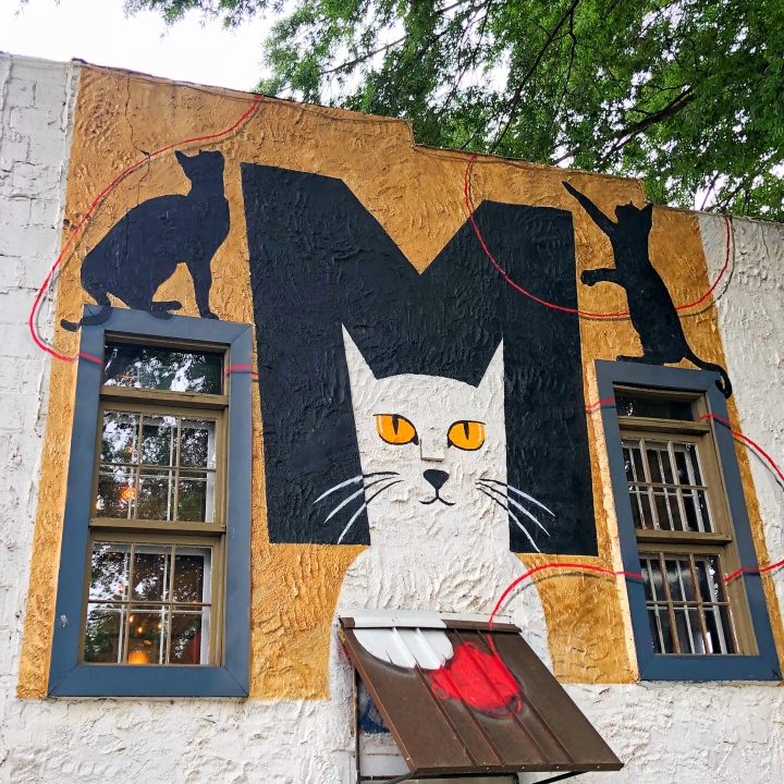Mac Tabby Cat Café in NoDa